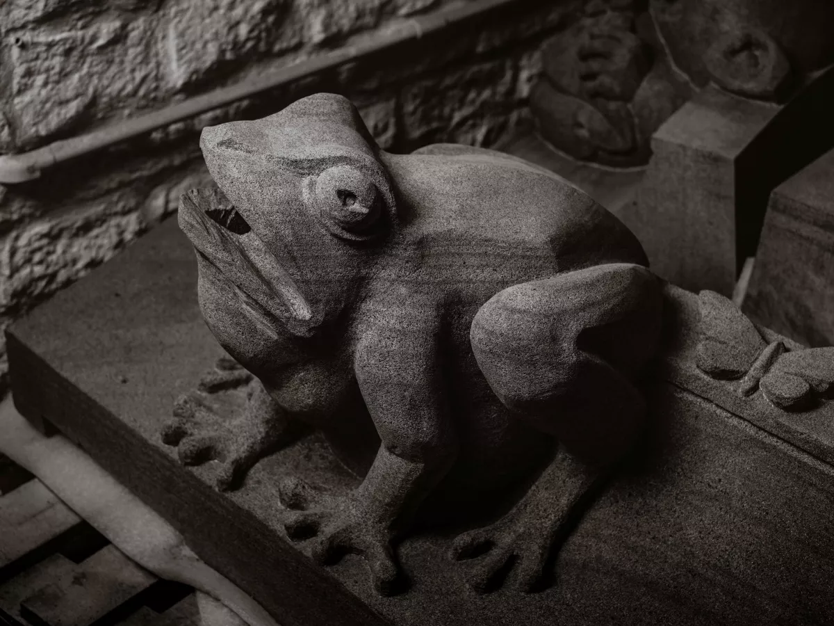 Gargoyle frog New College