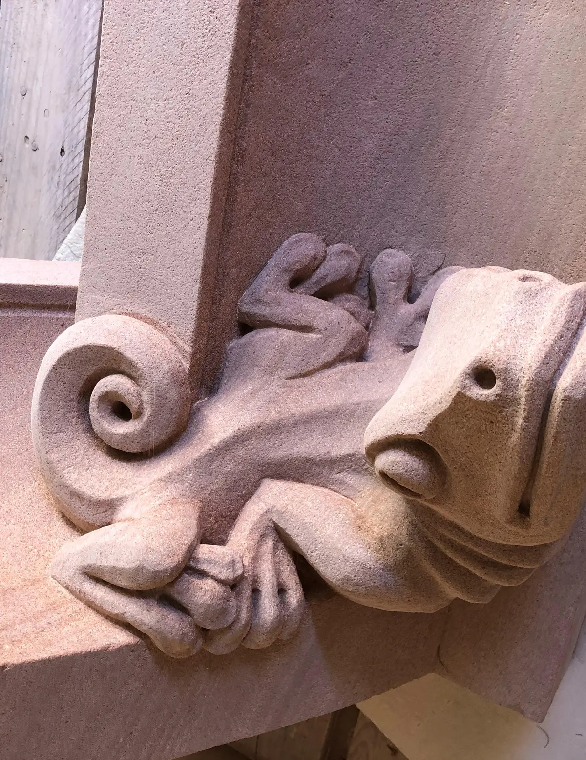 Gargoyle Gecko