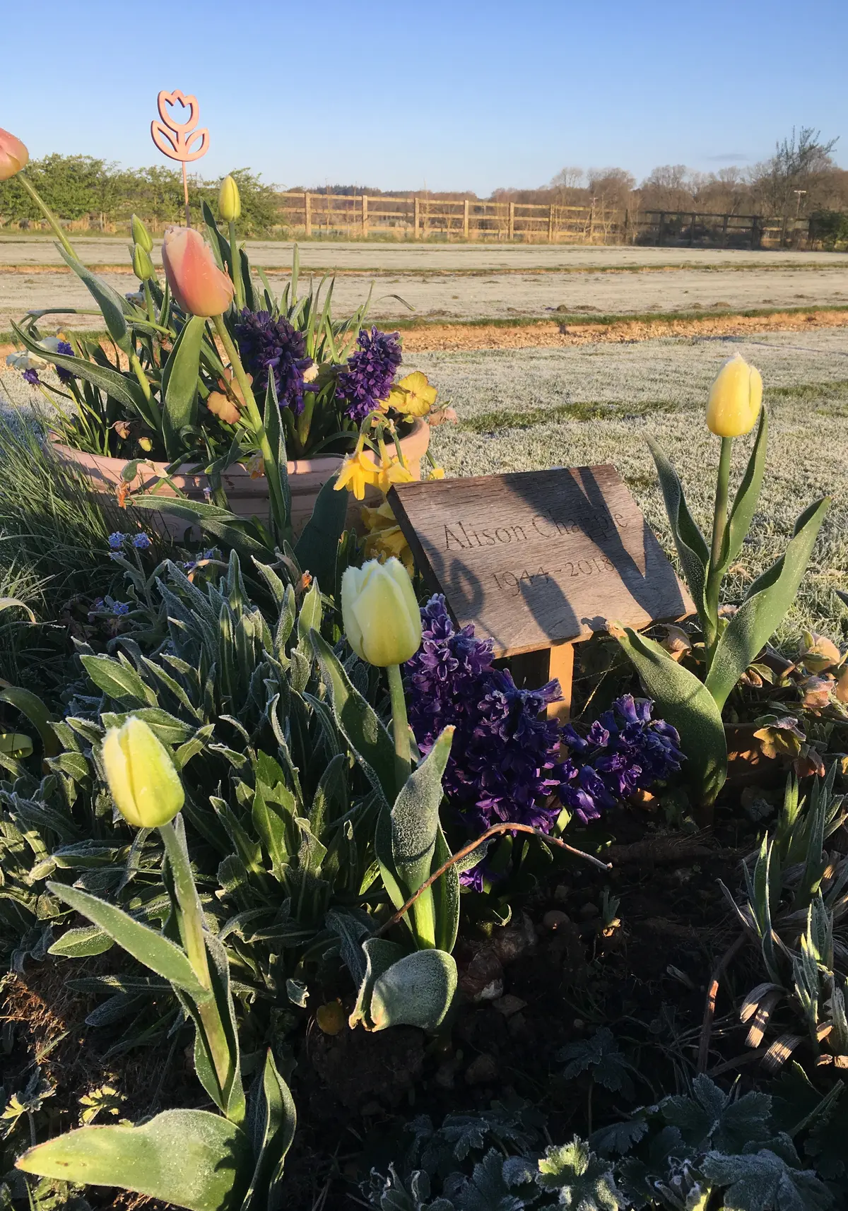 simple grave marker wooden