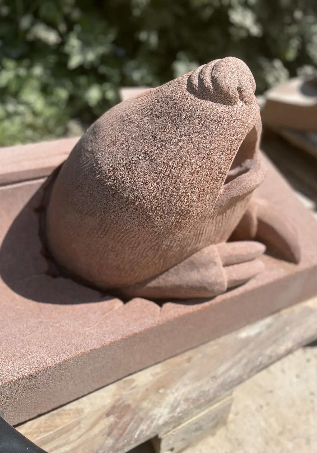 gargoyle golden mole