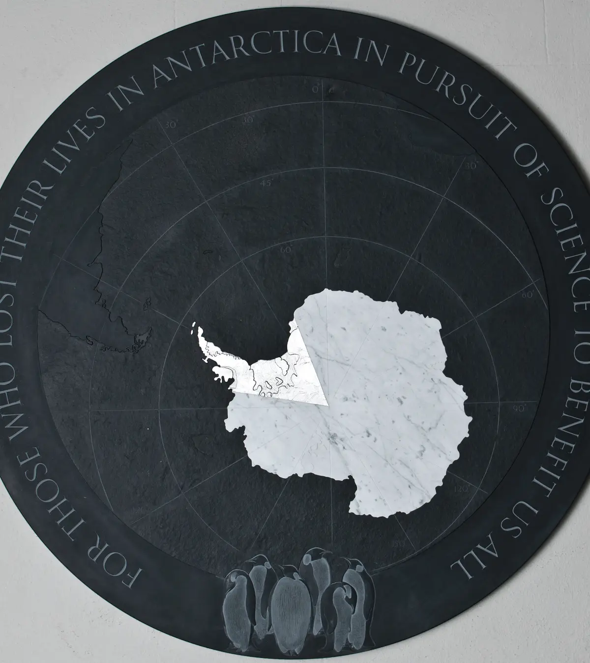 Antarctic final