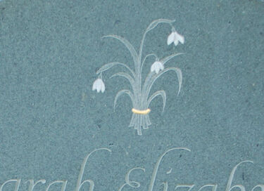 snowdrops on headstone
