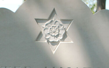 tudor rose in relief carving