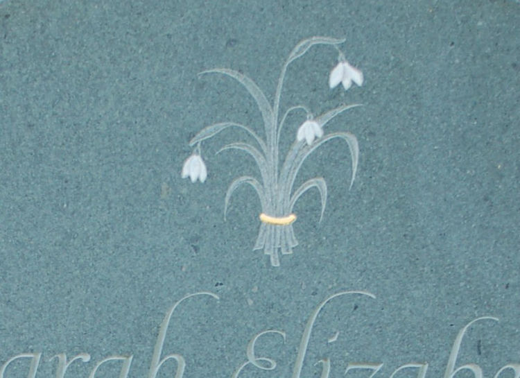 snowdrops on headstone